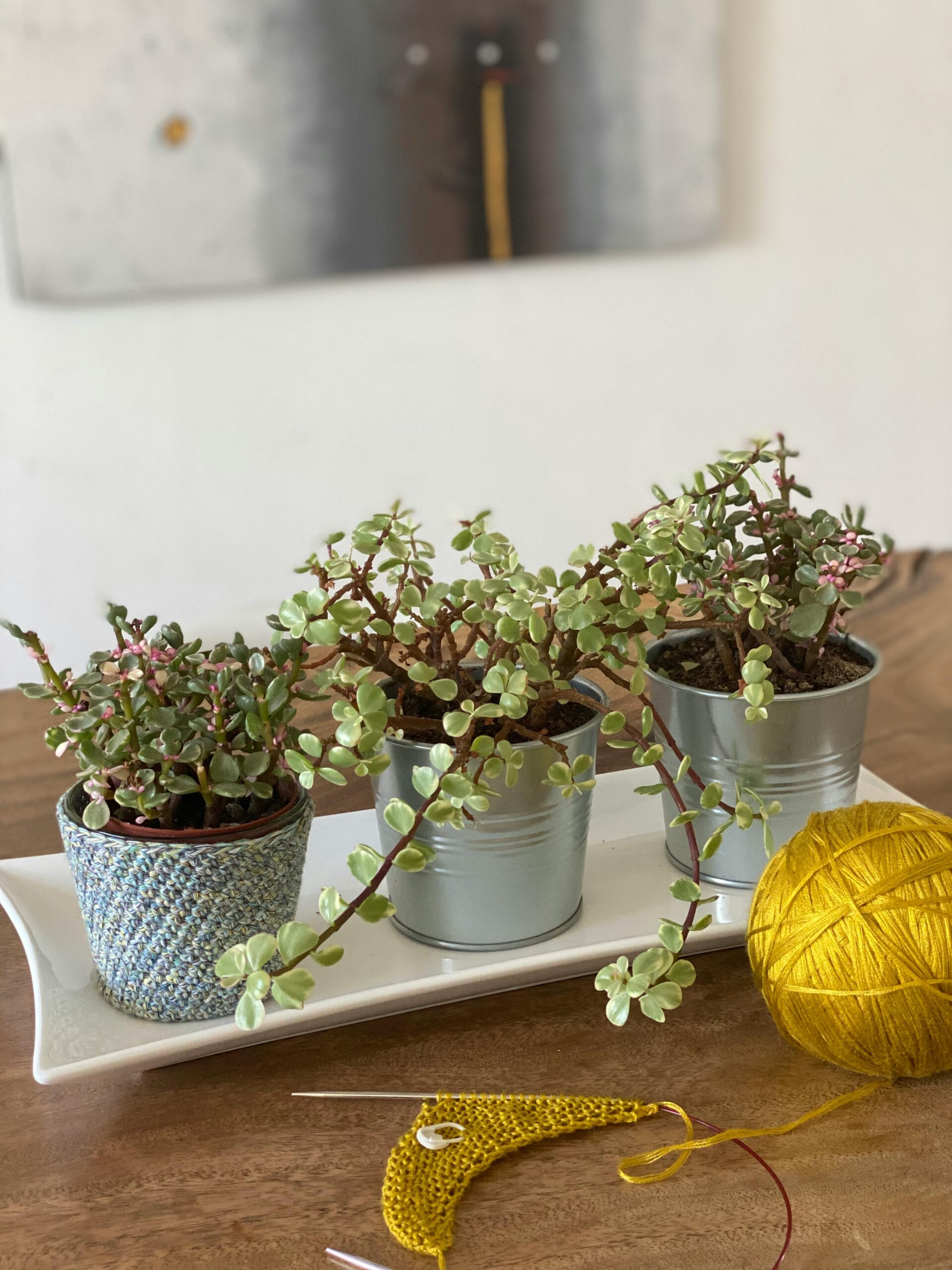 Pot holder